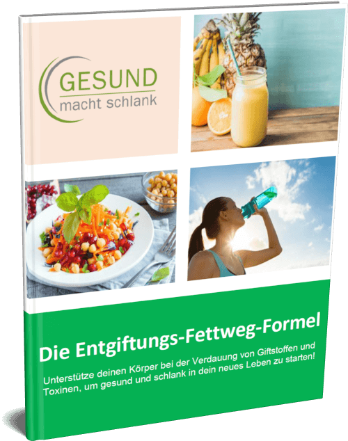 Cover: Die Entgiftungs-Fettweg-Formel